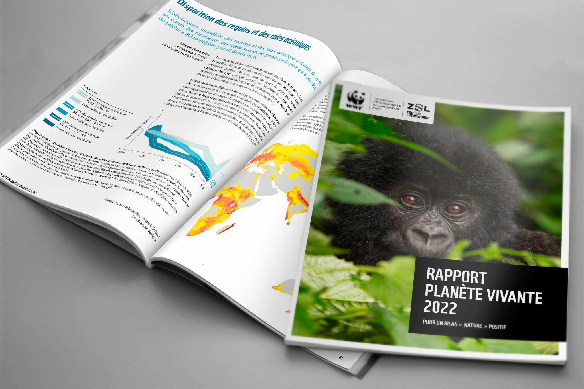 Rapport Plan Te Vivante De Wwf Le Mag