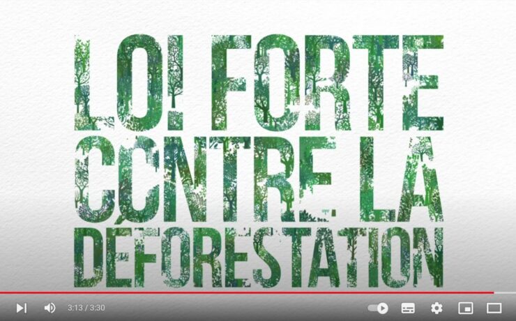 Tout comprendre sur la déforestation