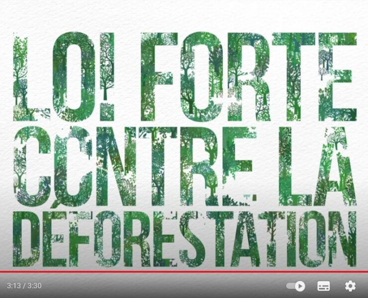Tout comprendre sur la déforestation